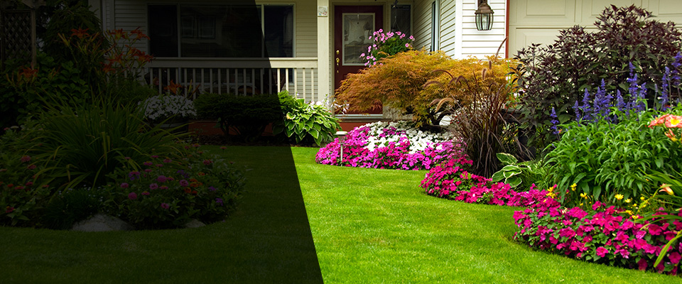 Albertville Landscapers