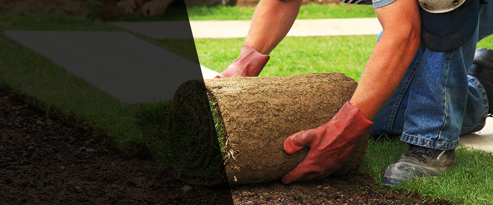 Albertville Landscapers